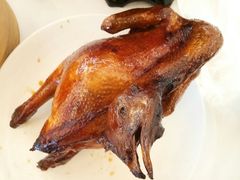 -稻香酒家·33年老字号·港式粤菜(富邦中心店)