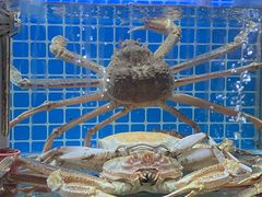 -山海蟹庐·海鲜糟粕醋火锅(慈溪店)