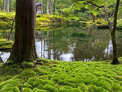 -西芳寺(苔寺)