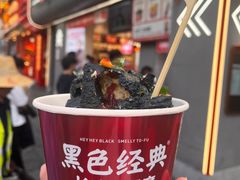 -黑色经典臭豆腐·湖南特产(坡子街店)