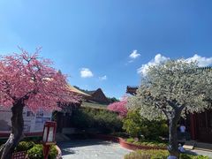 -珠海圆明新园