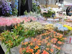 -循礼门鲜花花市(武汉循礼门店)