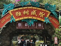-独树成林