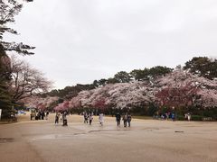 -名古屋城