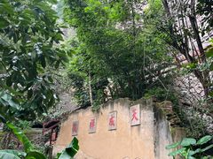 -武夷山风景名胜区-虎啸岩