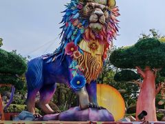 -苏州乐园森林水世界