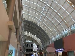 -上海市第一人民医院(松江南部)