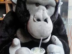 -浦江餐饮•上海菜馆(五四路店)