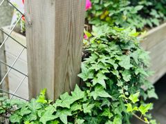 -曼乐辰餐厅(中庚漫游城店)