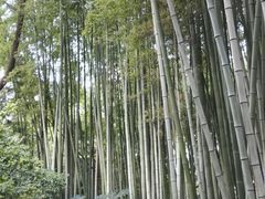 -汇龙潭