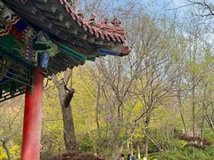-大连植物园