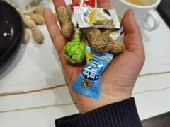 -鸢飞潍坊菜馆(鸢飞大酒店)