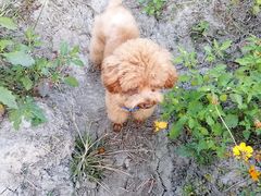 -佳雯宠物医院(四明中路分院)