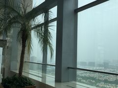 -上海浦东康桥绿地假日酒店