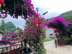 -高荡千年布依古寨旅游景区