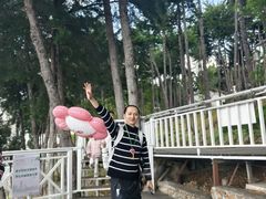 -南诏风情岛