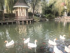 -天毓山庄·餐厅