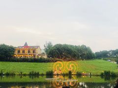 -大塘金香草谷