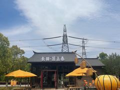 -长田漾湿地公园