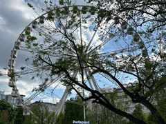 -圣伊什特万圣殿