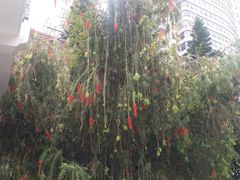 -东风公园