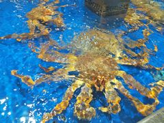 -盒马鲜生(顺义店)