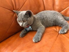 -厦门燕子坞客栈