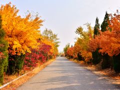 -鸡鸣山旅游风景区