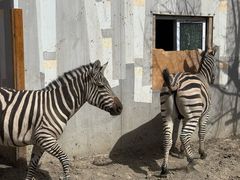 -水上乐园·欢乐世界