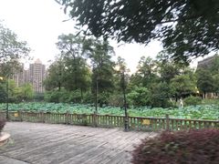 -成都南湖公园