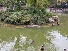 -贮水山儿童公园