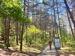 -帽儿山国家森林公园