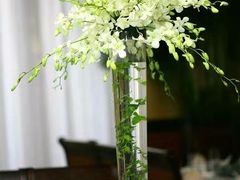 -金陵之星大酒店·中餐厅