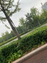 -HEYAN长风荷妍专业脱毛美肤
