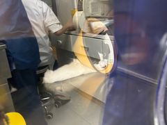 -瑞派紫金宠物医院24小时·骨科·中兽医·重症转诊中心(番禺大石院)