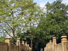 -晓港公园