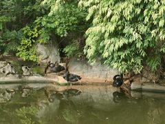 -昆明动物园