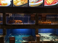 水产区-徐记海鲜(陕西历史博物馆|明德门店)