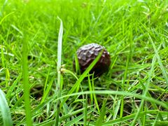 -重庆中央公园(渝北区)