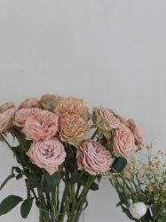 -巴黎婚纱摄影工作室