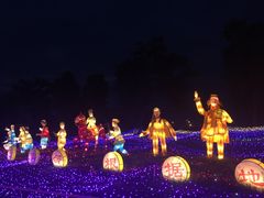 -杭州湾海上花田景区