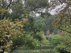 -忠山公园