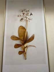 -安琪朵朵独栋花园月子中心