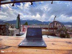 -喵屿·大理花园猫咖