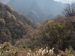-抱龙峪