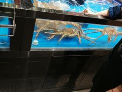 -盒马鲜生(观音桥店)
