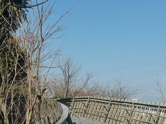 -福道