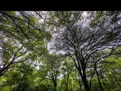 -西郊宾馆·1921餐厅