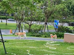-景田北六街公园宠物主题园