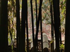 -泰山风景名胜区-普照寺